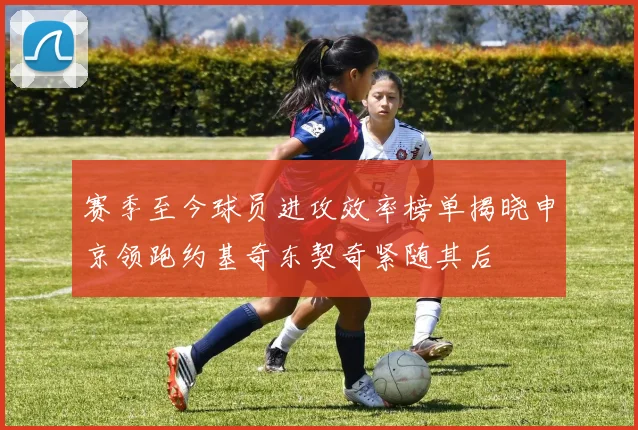 赛季至今球员进攻效率榜单揭晓申京领跑约基奇东契奇紧随其后